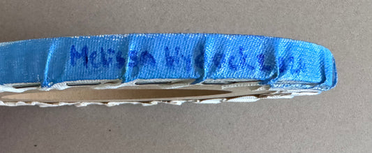 Signature of artist in blue paint that reads, "Melissa Hydock"