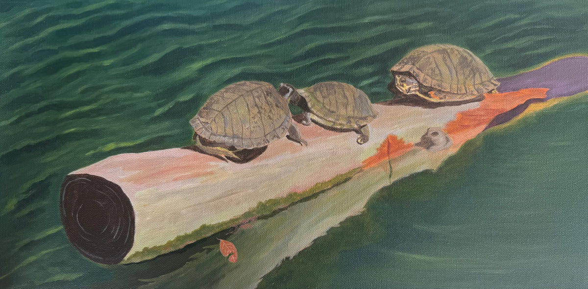 A photo of a 10in x 20in painting of three turtles on a log over water