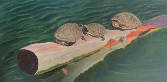A photo of a 10in x 20in painting of three turtles on a log over water