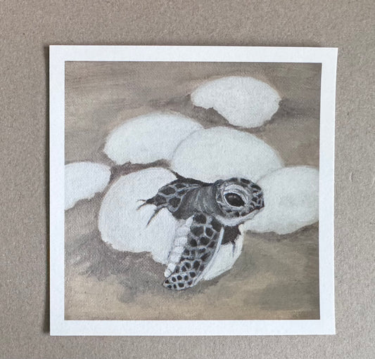 A photo of a 4.25in x 4.25in art print of a painting showing a baby sea turtle hatching from a white egg on a beach