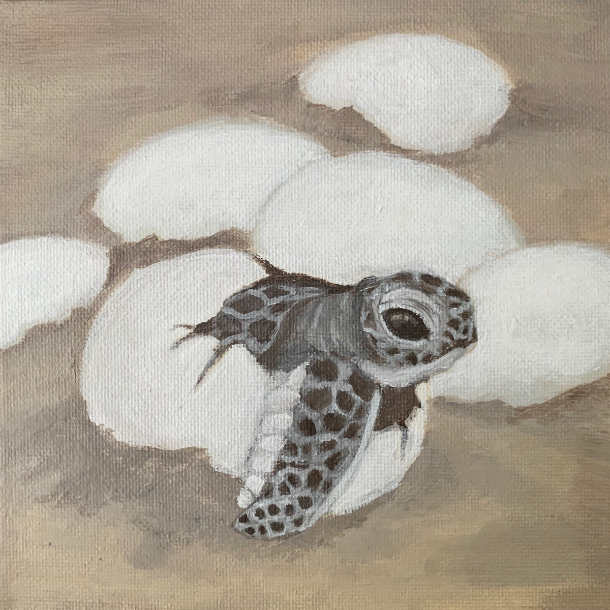 A photo of a 6in x 6in painting showing a baby sea turtle hatching from a white egg on a beach