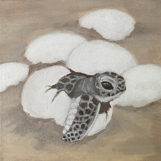 A photo of a 6in x 6in painting showing a baby sea turtle hatching from a white egg on a beach