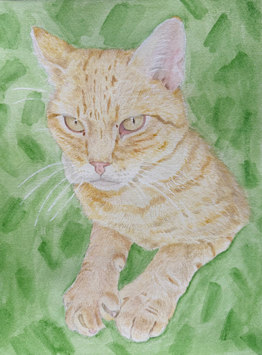 Watercolor Pet Portrait Commission