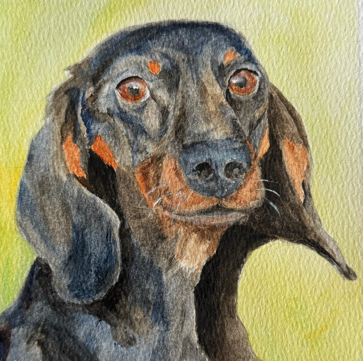 Watercolor Pet Portrait Commission