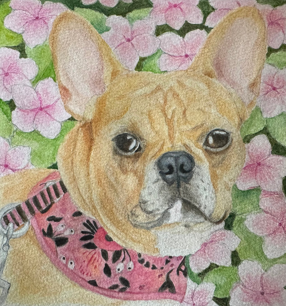 Watercolor Pet Portrait Commission
