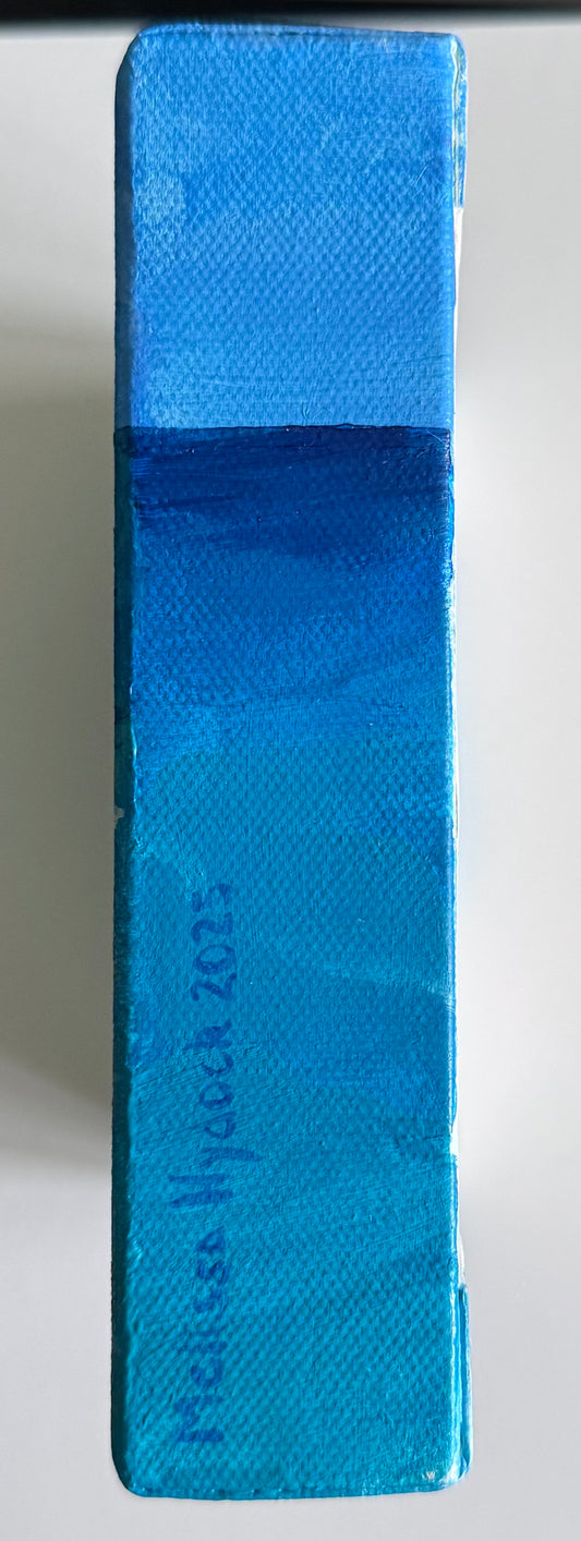A picture of a hand painted artist signature that reads 'Melissa Hydock 2025'