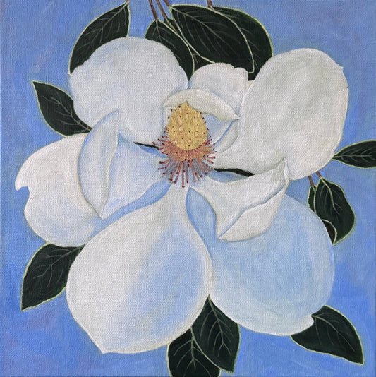 Single open magnolia surrounded by dark green leaves on a light blue background