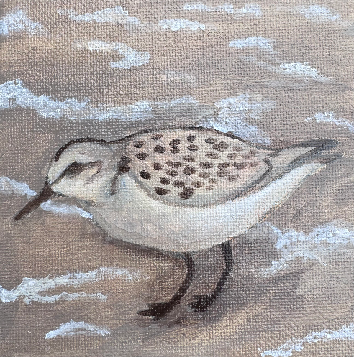 Small photo of artwork of a sandpiper standing on the beach