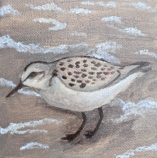 Small photo of artwork of a sandpiper standing on the beach
